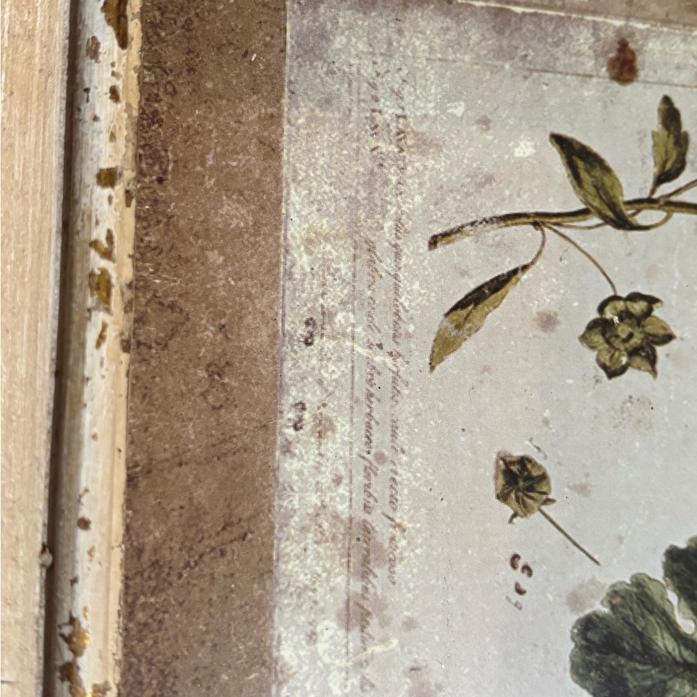 Williamsburg Creative Co-op Framed Floral Art Print 10x13 Rustic Cottagecore - Picture 3 of 10